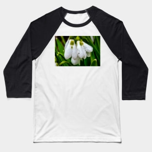 Snowdrops 1 Baseball T-Shirt